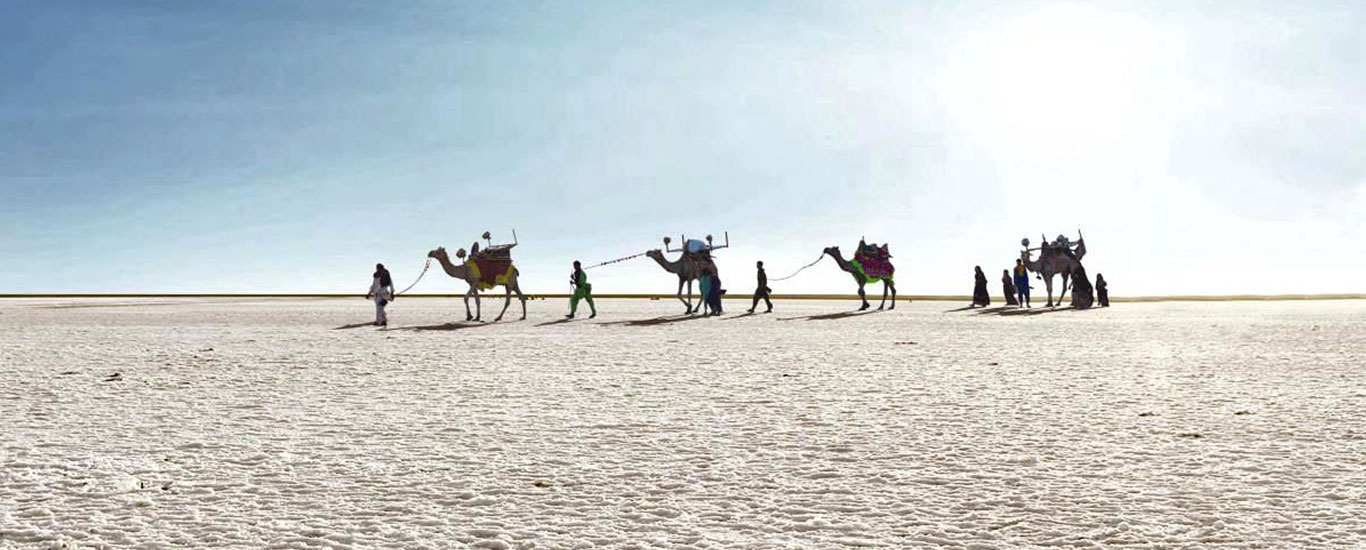 Kutch Desert